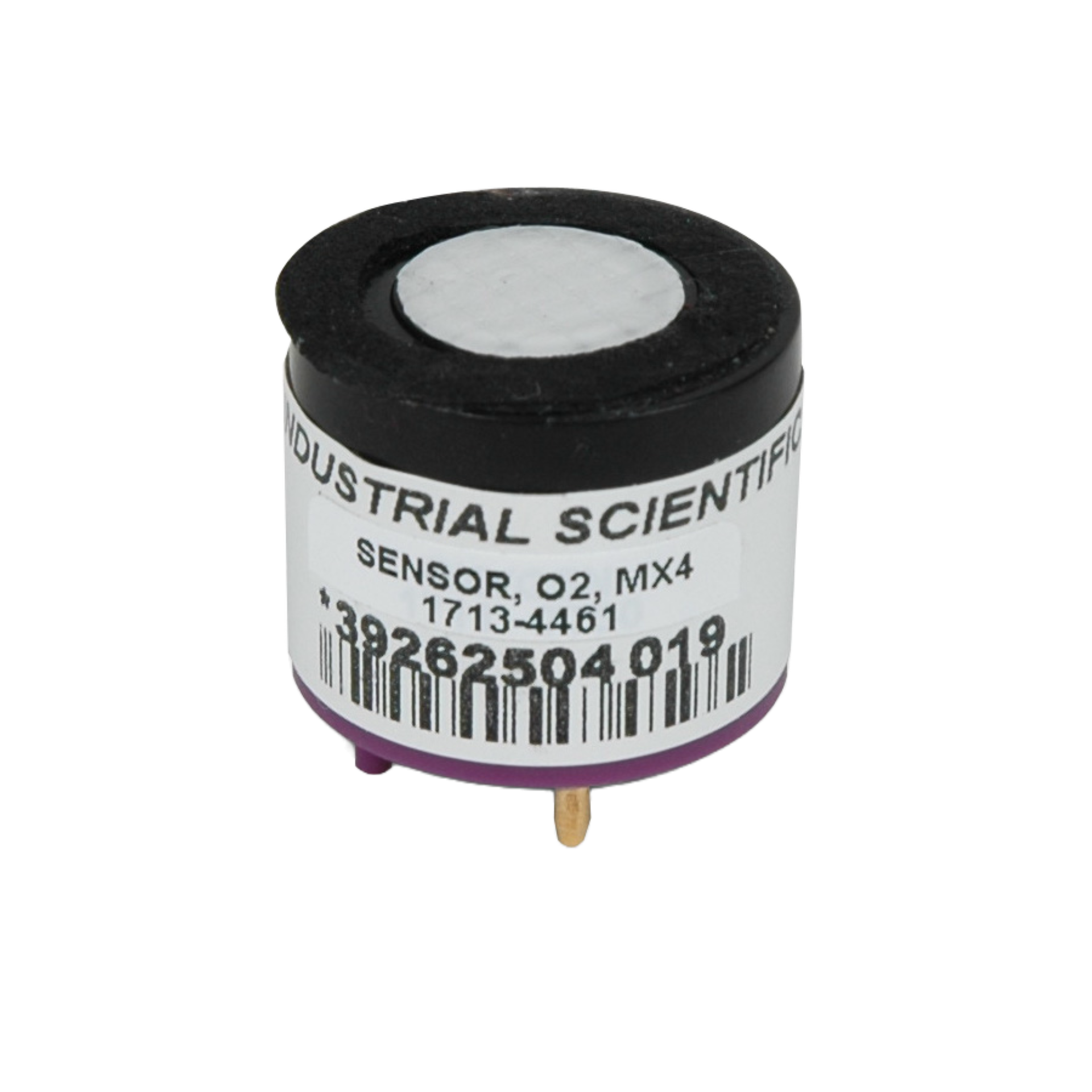 O2 Sensor MX4